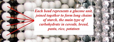 chains of beads representing chains of glucose molecules in starch